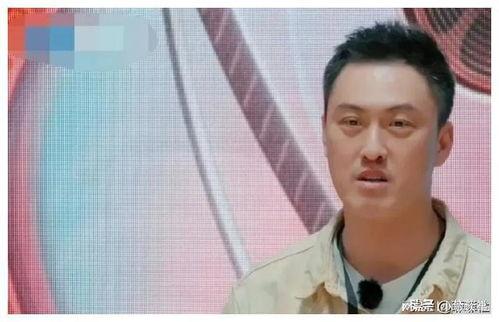 娱乐圈吃瓜爆料写字,揭秘明星背后的秘密与真相