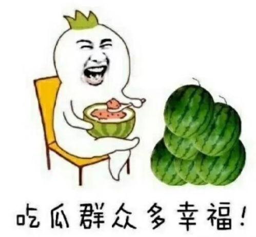 娱乐吃瓜哈哈哈,笑料百出，揭秘明星幕后故事哈哈哈