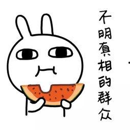 娱乐吃瓜酱回消息,明星幕后故事大曝光！