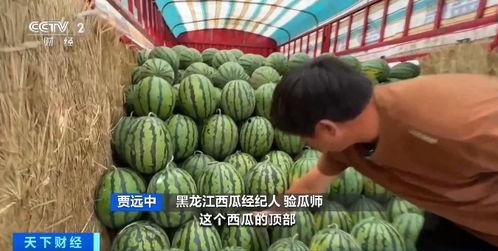 娱乐吃瓜718入口,718入口带你吃遍热门瓜料